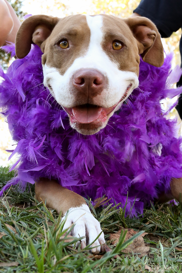 Marlowe and her feather boa